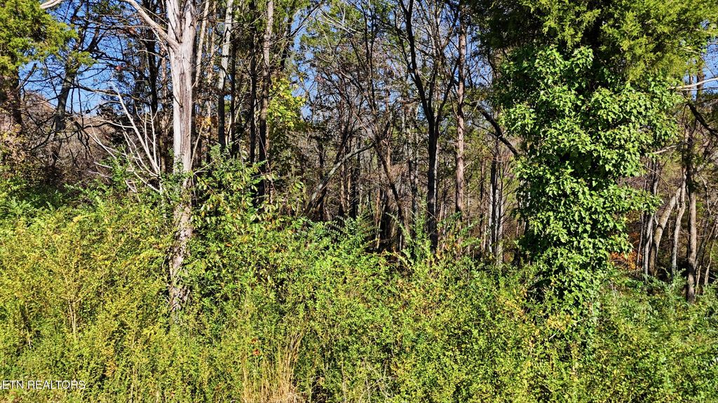 Photo of 0 Sierra Drive, Dayton, TN 37321 (MLS # 1328707)