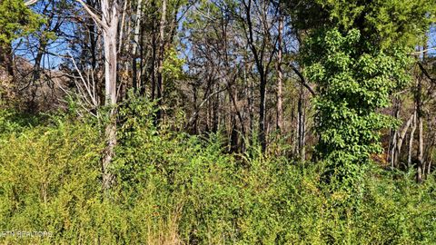 Tiny photo for 0 Sierra Drive, Dayton, TN 37321 (MLS # 1328707)