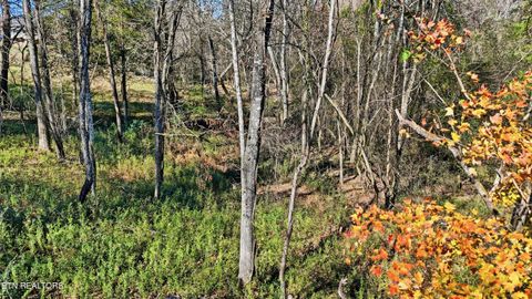 Tiny photo for 0 Sierra Drive, Dayton, TN 37321 (MLS # 1328707)