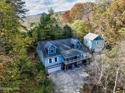 621 W Millers Cove Rd Walland TN 37886