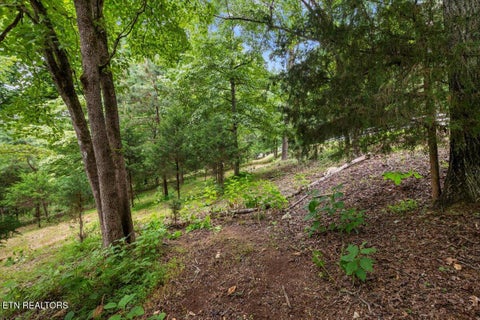 Tiny photo for 464748 Bucks and Doe Lane LN, LaFollette, TN 37766 (MLS # 1306638)