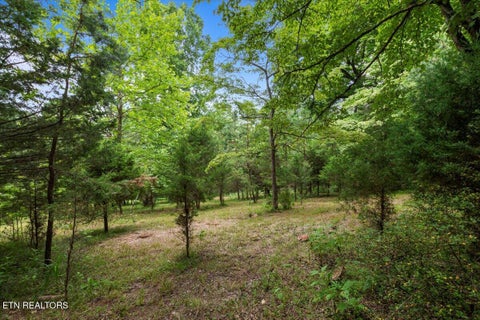 Tiny photo for 464748 Bucks and Doe Lane LN, LaFollette, TN 37766 (MLS # 1306638)