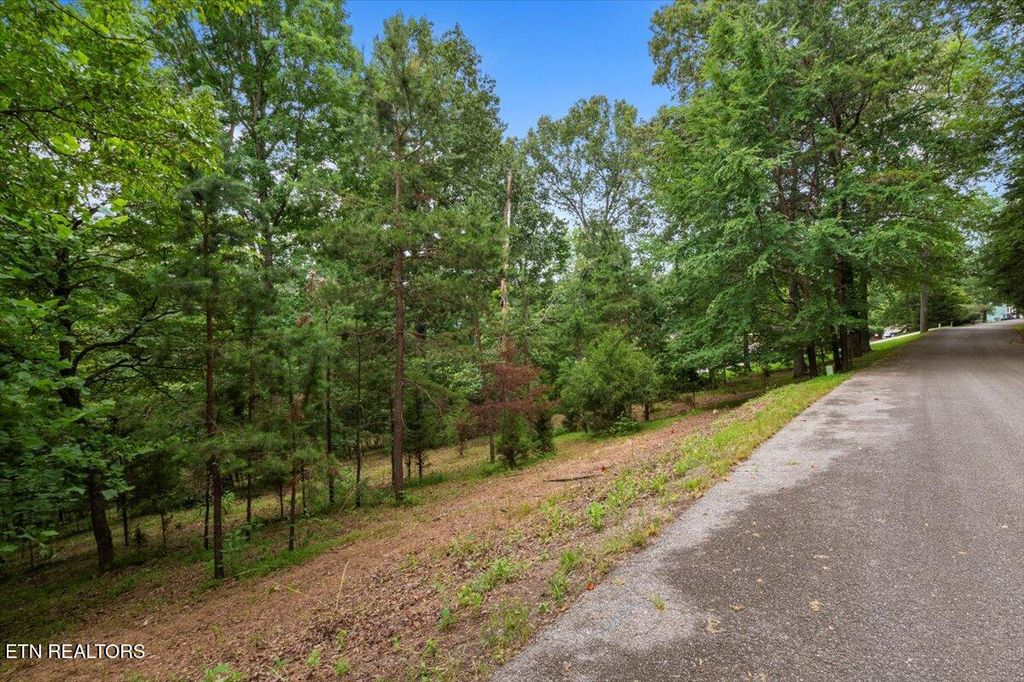 Photo of 464748 Bucks and Doe Lane, LaFollette, TN 37766 (MLS # 1306638)