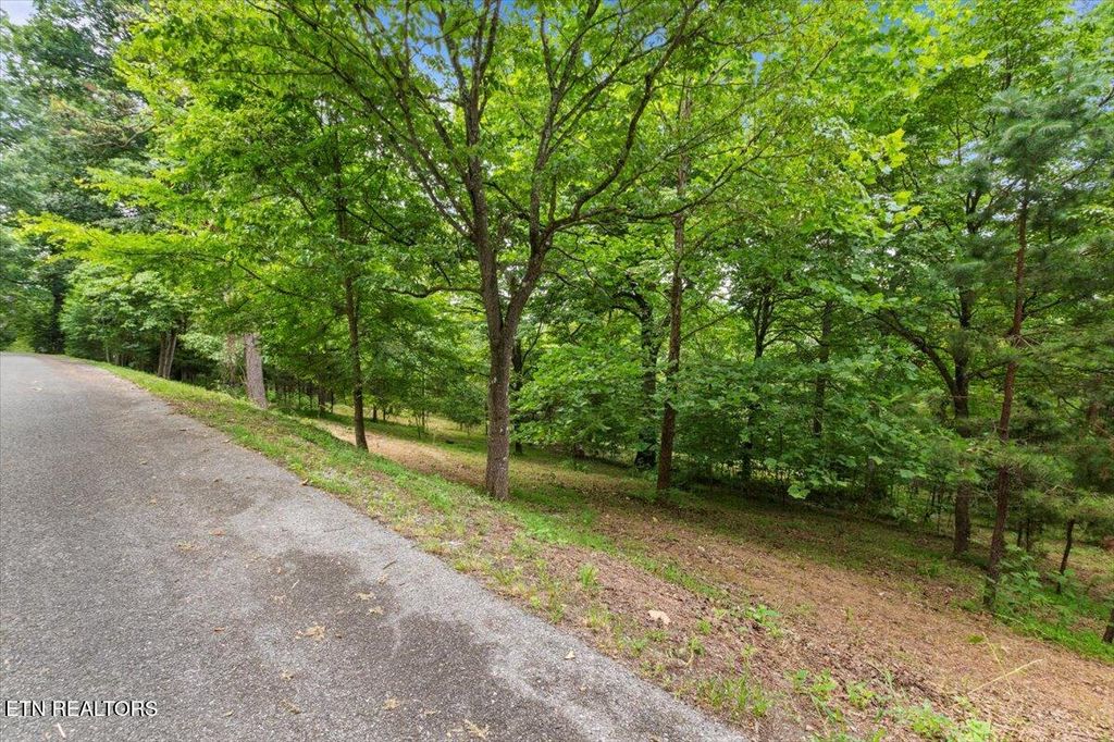 Photo of 464748 Bucks and Doe Lane, LaFollette, TN 37766 (MLS # 1306638)