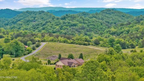 Tiny photo for 166 Mountain Shores Rd, New Tazewell, TN 37825 (MLS # 1340555)