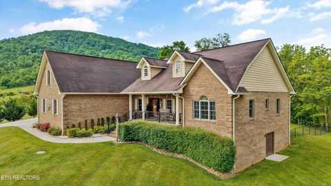 Tiny photo for 166 Mountain Shores Rd, New Tazewell, TN 37825 (MLS # 1340555)