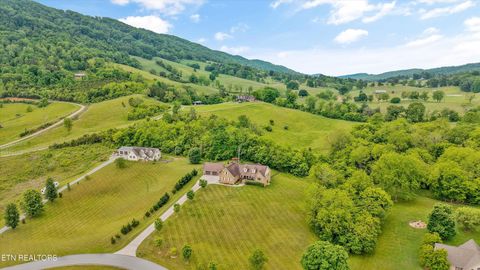 Tiny photo for 166 Mountain Shores Rd, New Tazewell, TN 37825 (MLS # 1340555)