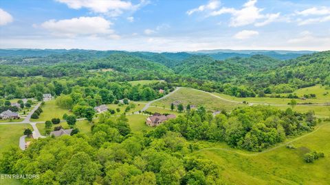 Tiny photo for 166 Mountain Shores Rd, New Tazewell, TN 37825 (MLS # 1340555)