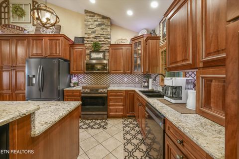 Tiny photo for 166 Mountain Shores Rd, New Tazewell, TN 37825 (MLS # 1340555)