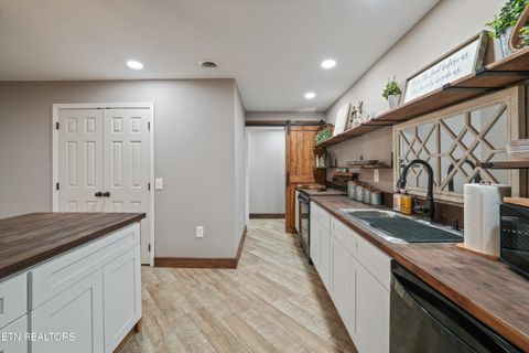 Tiny photo for 166 Mountain Shores Rd, New Tazewell, TN 37825 (MLS # 1340555)