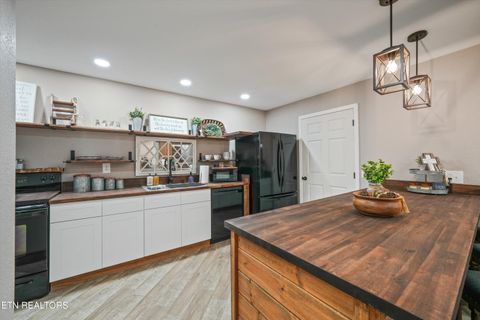 Tiny photo for 166 Mountain Shores Rd, New Tazewell, TN 37825 (MLS # 1340555)