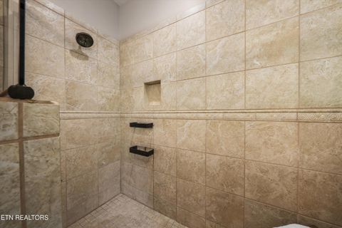 Tiny photo for 166 Mountain Shores Rd, New Tazewell, TN 37825 (MLS # 1340555)