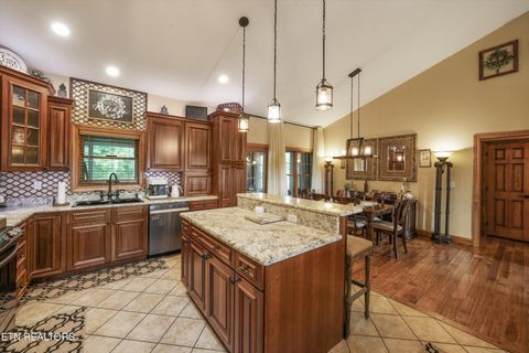 Tiny photo for 166 Mountain Shores Rd, New Tazewell, TN 37825 (MLS # 1340555)