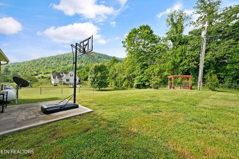 Tiny photo for 166 Mountain Shores Rd, New Tazewell, TN 37825 (MLS # 1340555)