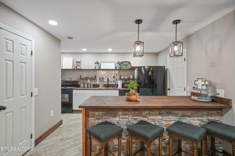 Tiny photo for 166 Mountain Shores Rd, New Tazewell, TN 37825 (MLS # 1340555)