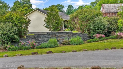 Tiny photo for 166 Mountain Shores Rd, New Tazewell, TN 37825 (MLS # 1340555)
