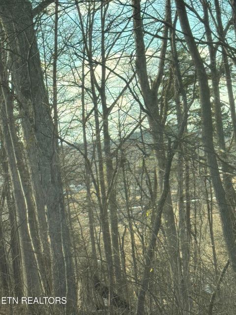 Tiny photo for 904 County Rd, Etowah, TN 37331 (MLS # 1327683)