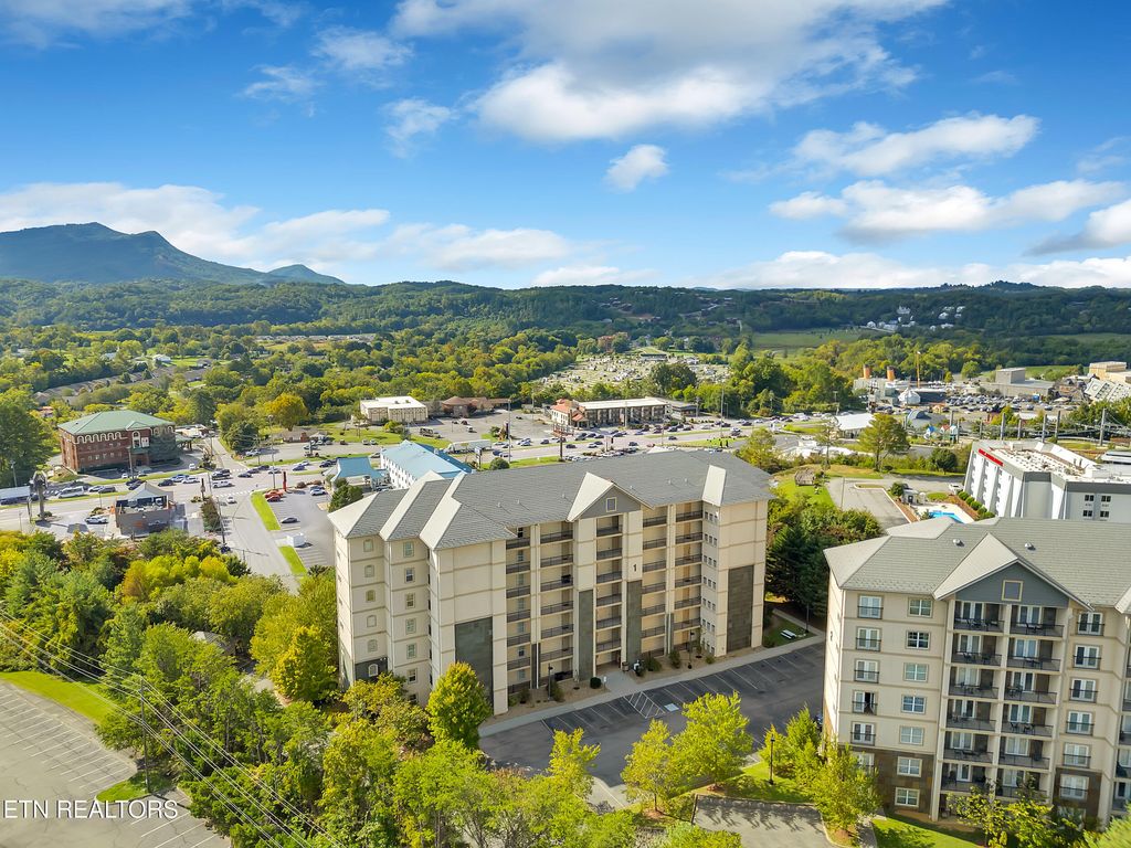 Photo of 124 Plaza Drive #1303, Pigeon Forge, TN 37863 (MLS # 1316323)