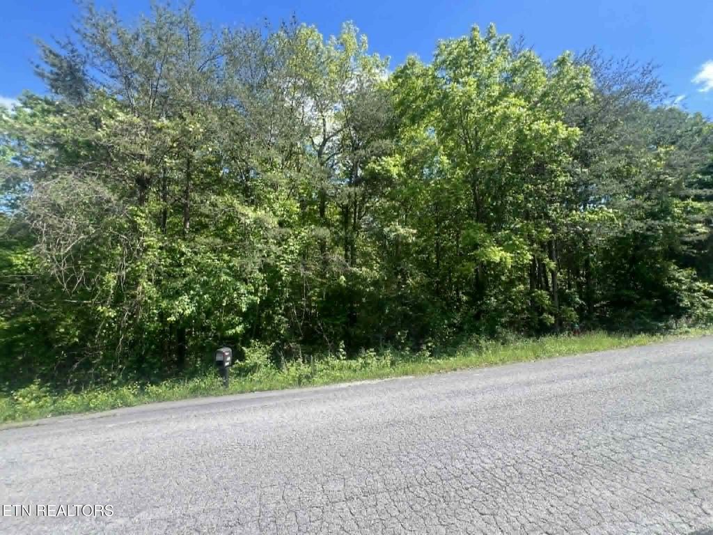 Photo of 99 Scarlett Drive, Crossville, TN 38555 (MLS # 1339916)