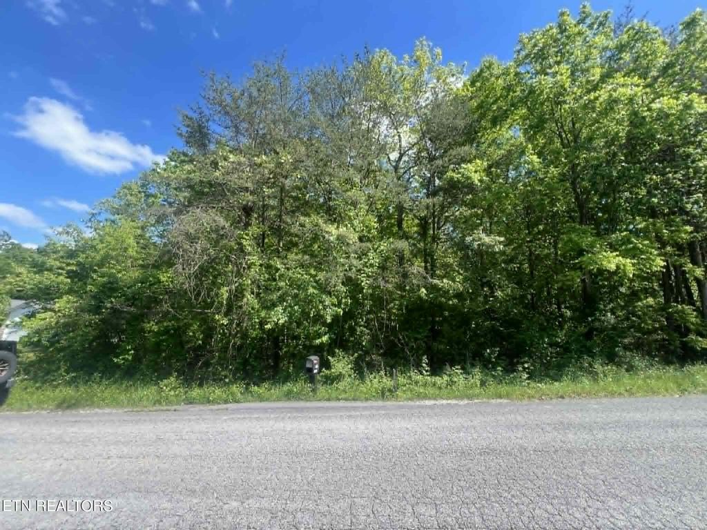 Photo of 99 Scarlett Drive, Crossville, TN 38555 (MLS # 1339916)