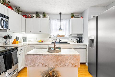 Tiny photo for 206 E Maple St, Caryville, TN 37714 (MLS # 1332567)