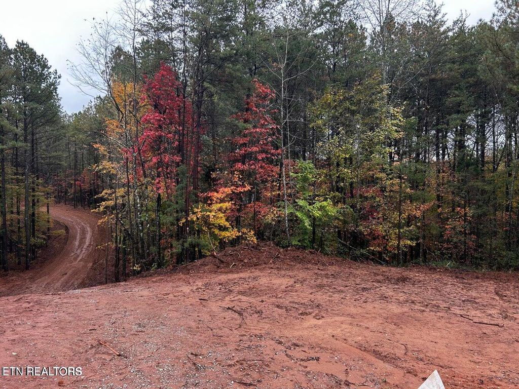 Photo of Ballplay Road Lot 30, Madisonville, TN 37354 (MLS # 1339060)