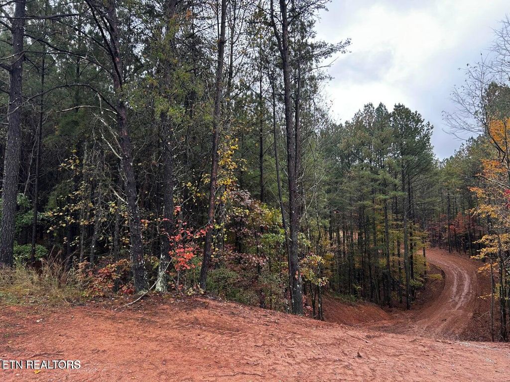 Photo of Ballplay Road Lot 30, Madisonville, TN 37354 (MLS # 1339060)