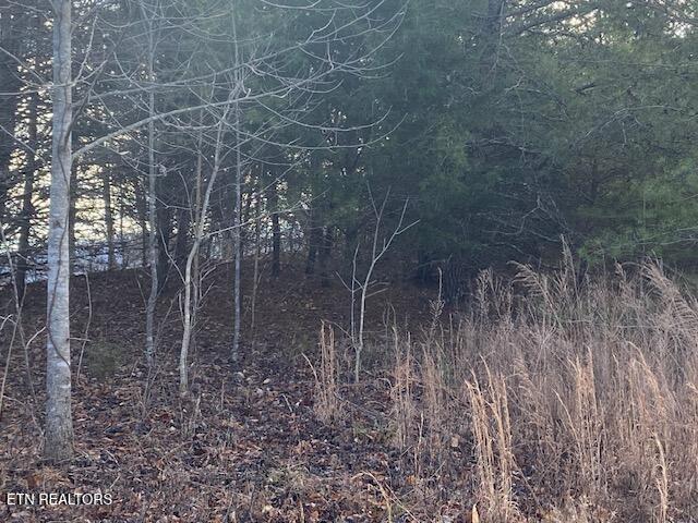 Photo of 875 Clearwater Rd, New Tazewell, TN 37825 (MLS # 1345438)
