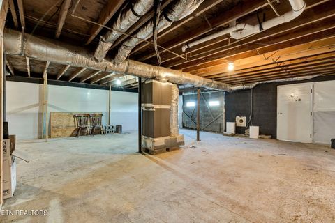 Tiny photo for 317 County Road 271, Niota, TN 37826 (MLS # 1325649)