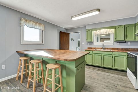 Tiny photo for 317 County Road 271, Niota, TN 37826 (MLS # 1325649)