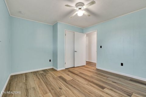 Tiny photo for 317 County Road 271, Niota, TN 37826 (MLS # 1325649)