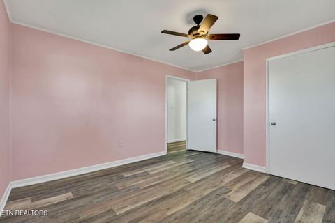 Tiny photo for 317 County Road 271, Niota, TN 37826 (MLS # 1325649)