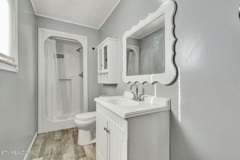 Tiny photo for 317 County Road 271, Niota, TN 37826 (MLS # 1325649)