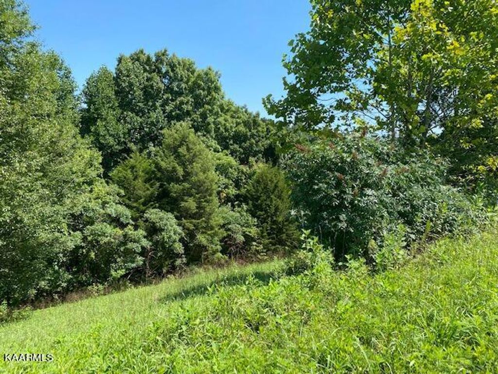 Photo of Lot 255 Marble Point Way, New Tazewell, TN 37825 (MLS # 1202249)