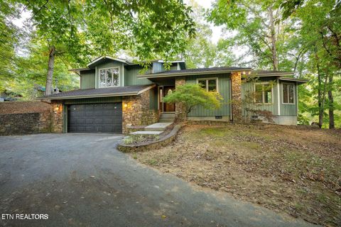 310 White Cap Lane Pigeon Forge TN 37863