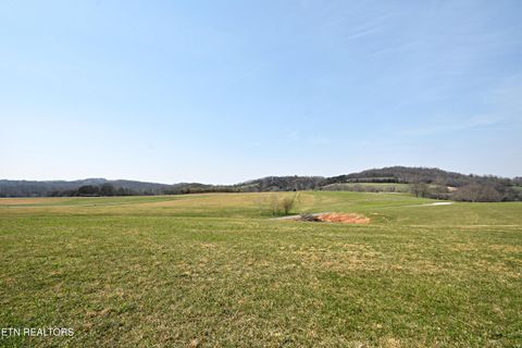 Tiny photo for 747 Stone Rd, Blaine, TN 37709 (MLS # 1334680)