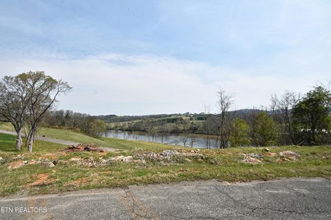 Tiny photo for 747 Stone Rd, Blaine, TN 37709 (MLS # 1334680)