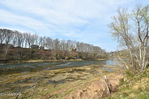 Tiny photo for 747 Stone Rd, Blaine, TN 37709 (MLS # 1334680)