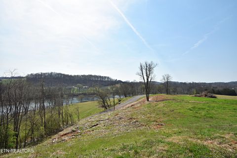 Tiny photo for 747 Stone Rd, Blaine, TN 37709 (MLS # 1334680)