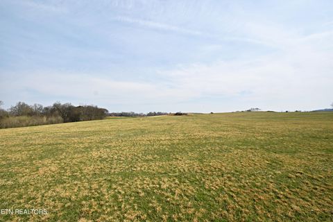 Tiny photo for 747 Stone Rd, Blaine, TN 37709 (MLS # 1334680)