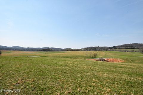 Tiny photo for 747 Stone Rd, Blaine, TN 37709 (MLS # 1334680)
