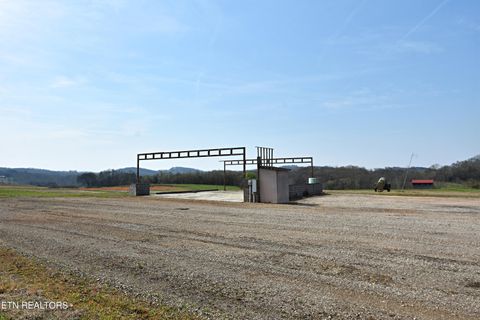 Tiny photo for 747 Stone Rd, Blaine, TN 37709 (MLS # 1334680)