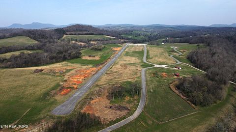 Tiny photo for 747 Stone Rd, Blaine, TN 37709 (MLS # 1334680)