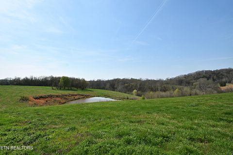 Tiny photo for 747 Stone Rd, Blaine, TN 37709 (MLS # 1334680)