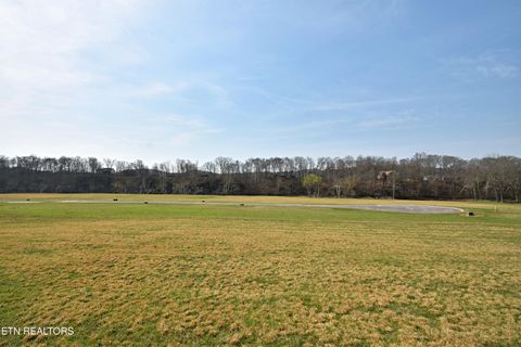 Tiny photo for 747 Stone Rd, Blaine, TN 37709 (MLS # 1334680)