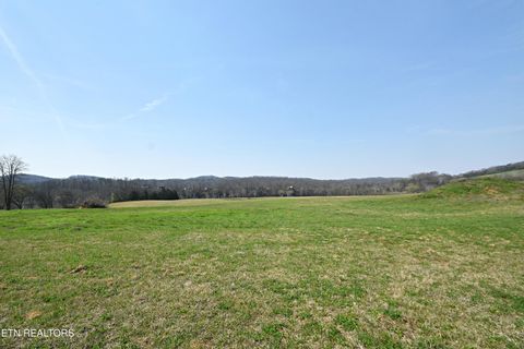 Tiny photo for 747 Stone Rd, Blaine, TN 37709 (MLS # 1334680)