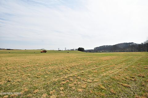 Tiny photo for 747 Stone Rd, Blaine, TN 37709 (MLS # 1334680)