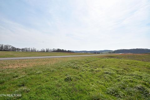 Tiny photo for 747 Stone Rd, Blaine, TN 37709 (MLS # 1334680)