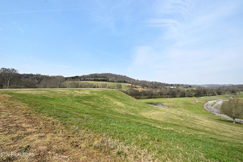 Tiny photo for 747 Stone Rd, Blaine, TN 37709 (MLS # 1334680)
