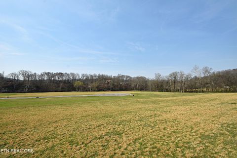 Tiny photo for 747 Stone Rd, Blaine, TN 37709 (MLS # 1334680)